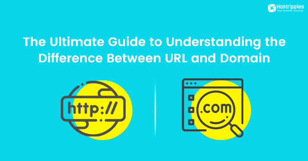 Understanding the Difference Between URL and Domain
